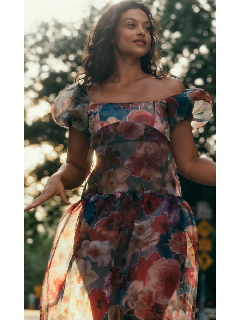 Anthropologie Puff Sleeve Off The Shoulder Drop Waist Sheer Floral Midi Dress